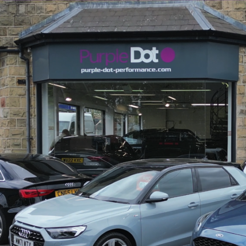 Purple Dot Performance